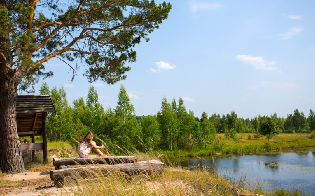 Szlaki piesze na Kaszubach. Jak przygotować się do spokojnej wędrówki?